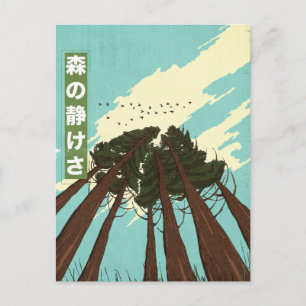 Carte Postale La Calme De La Forêt