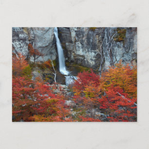 Carte Postale La cascade d'El Chorrillo   Patagonie, Argentine