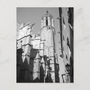 Carte postale La Catedral Gargoyles (Barcelone, Es