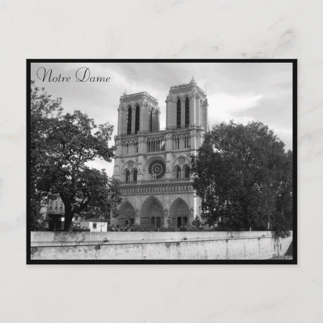 Carte Postale la cathédrale notre-dame (Devant)