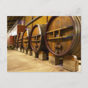 Carte Postale La cave vinicole avec de grands vieux fûts en bois