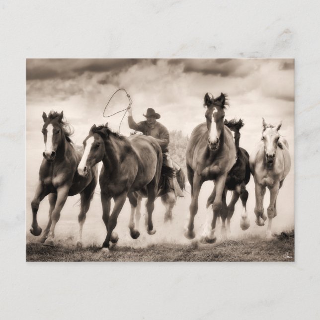 Carte Postale La Chase I (Devant)