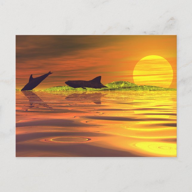 Carte Postale La Chasse (Devant)