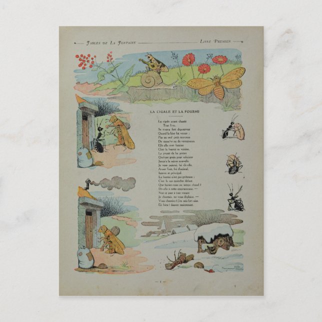 Carte Postale La Cicada et la fourmi des fables (Devant)