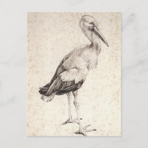 Carte Postale La cigogne par Albrecht Durer