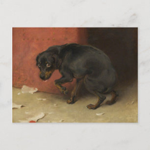 Carte Postale La Conscience Fait Des Poules De Nous Tous