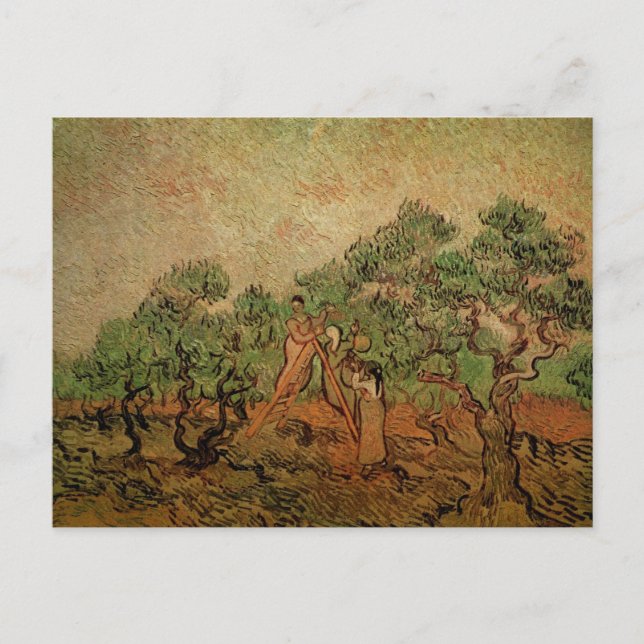 Carte Postale La Cueillette des olives par Vincent van Gogh (Devant)