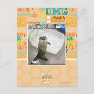 Carte Postale Là-dedans ? C'est froid !