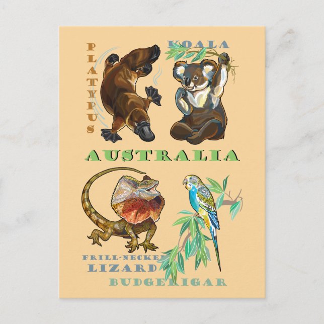 Carte Postale La faune australienne (Devant)