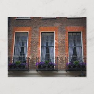 Carte Postale La fleur de fenêtre de Londres enferme dans une