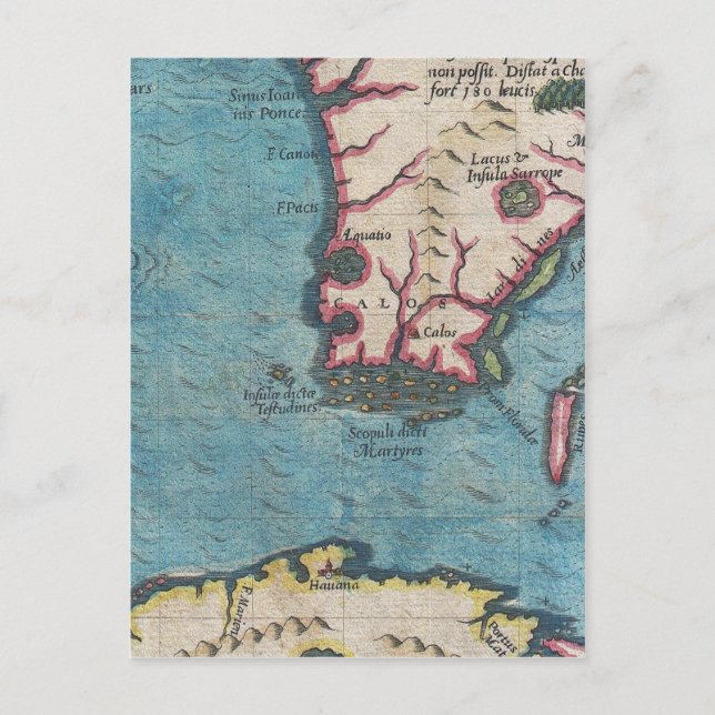 Carte Postale La Floride et le Cuba (Devant)