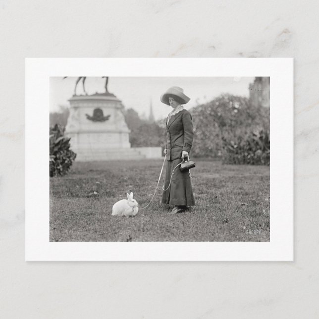 Carte Postale La folle dame lapin (Devant)