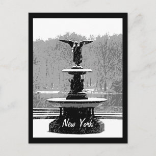 Carte Postale La Fontaine de Bethesda en hiver