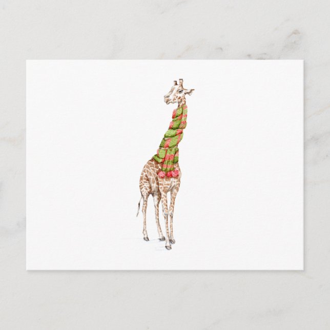Carte Postale La girafe dans une écharpe (Devant)