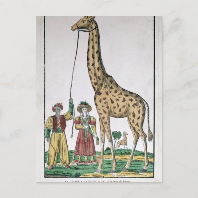 Carte Postale La Girafe présentée au roi par Pacha de (Devant)
