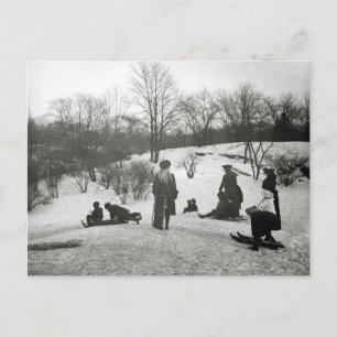 Carte Postale La glissade à Central Park, 1906