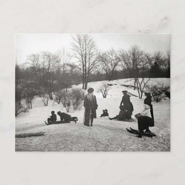 Carte Postale La glissade à Central Park, 1906 (Devant)