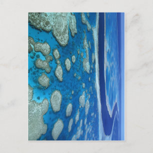 Carte Postale La Grande Barrière De Corail