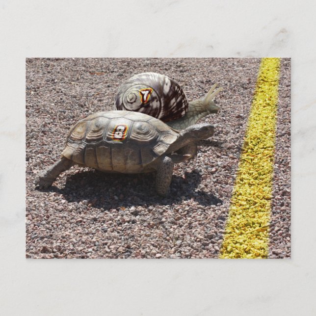 Carte Postale La Grande Course (Devant)