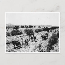 Carte Postale La Gravure Du Canal De L'Arizona