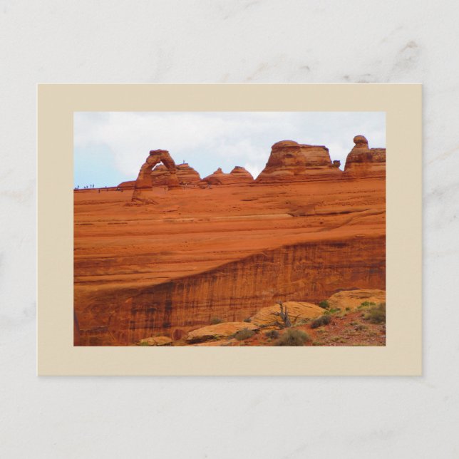 Carte Postale La hausse (Devant)