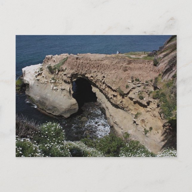 Carte Postale La Jolla (Devant)