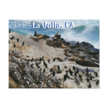 Carte postale La Jolla California