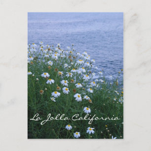 Carte Postale La Jolla Fleurs et océan