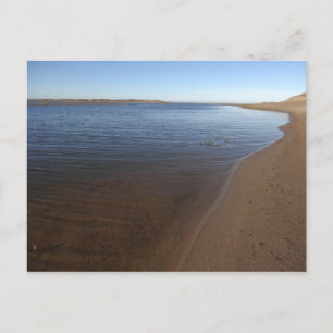 Carte Postale La lagune II d'Abbottes à la côte nationale de Poi