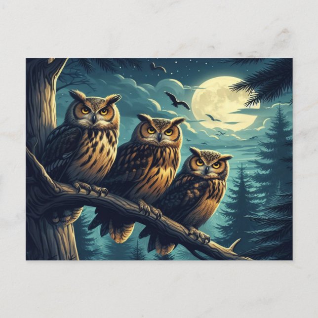 Carte Postale La Lune Chouette Une Serenade Nocturne (Devant)