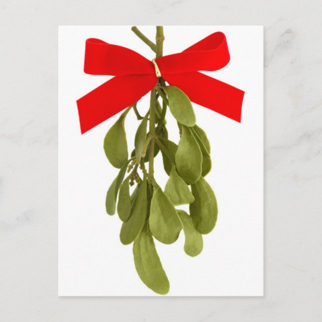 Carte Postale La main d'une femme tenant une pointe de mistletoe (Devant)