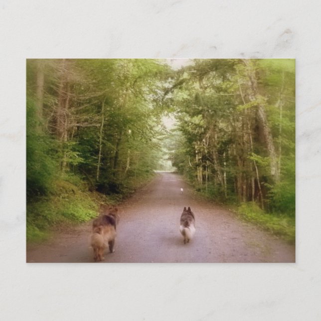 Carte Postale La maison de la route (Devant)