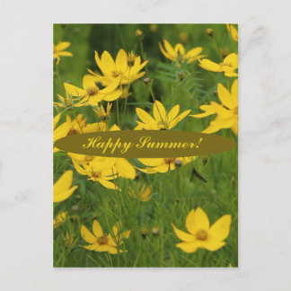Carte Postale La marguerite jaune florissante