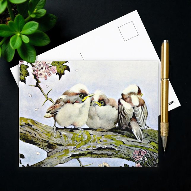Carte Postale La mésange à longue queue, Edward Julius Detmold (Créateur téléchargé)