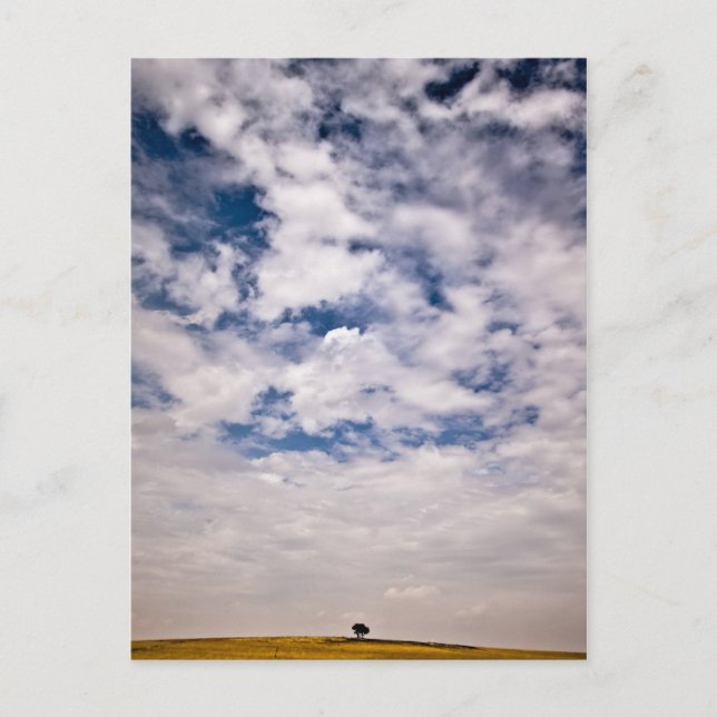 Carte Postale La moitié de l'univers bleu (Devant)