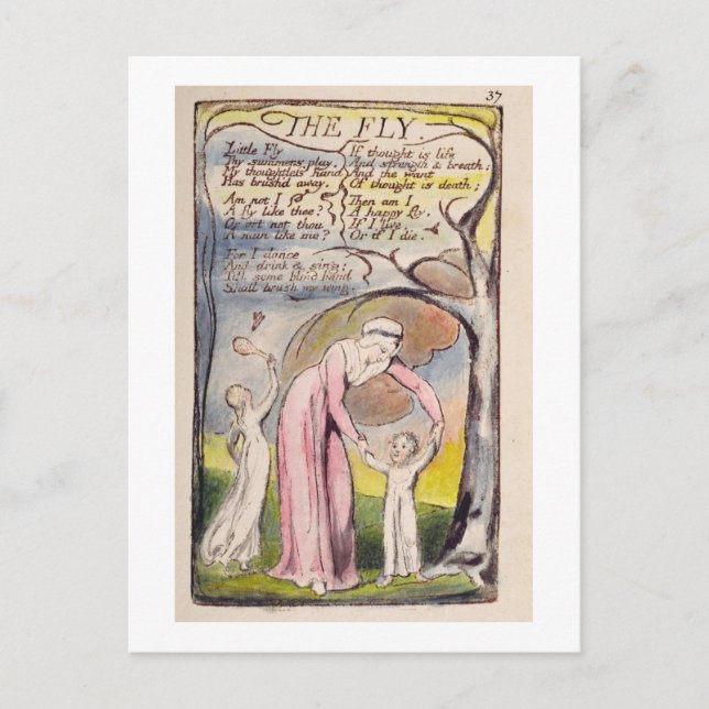 Carte Postale 'La Mouche', assiette 37 de 'Chansons d'Innocence  (Devant)