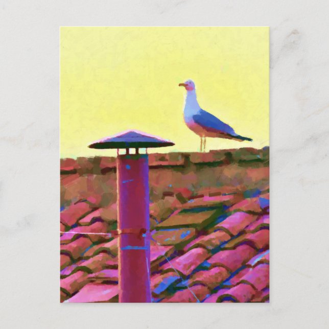 Carte Postale La mouette à l'après-midi de Conclave (Devant)
