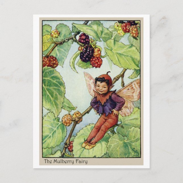 Carte Postale La Mulberry Fairy (Devant)