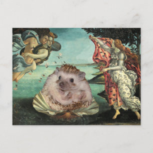 Carte Postale La naissance d'un hérisson chez Botticelli