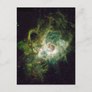 Carte Postale La naissance d'une étoile