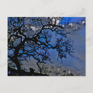 Carte Postale La Nature Est Ancienne