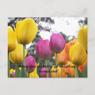 Carte Postale La nature ne se dépêche pas, mais tout...