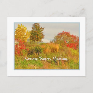 CARTE POSTALE LA NATURE PEINT LE MICHIGAN/CARTE POSTALE DE COULE