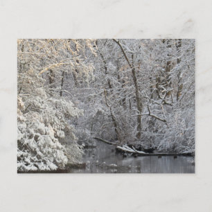 Carte Postale La neige en hiver La scène de l'eau calme