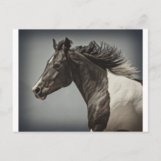 Carte Postale La peinture (Devant)