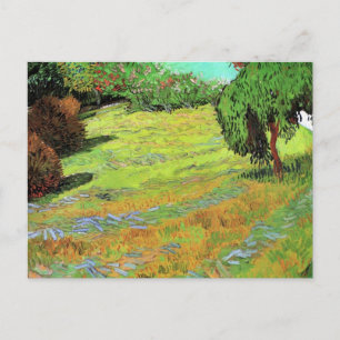 Carte Postale La pelouse ensoleillée dans un parc public par Vin