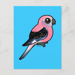 Carte Postale La perruque de Bourke