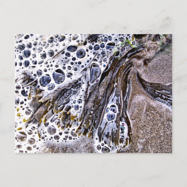 CARTE POSTALE LA PLAGE, ALGUES, EAU ET SABLE (Devant)