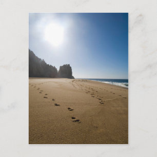 Carte Postale La plage de Cabo San Lucas 3