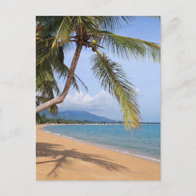 Carte Postale La plage de Maenam. (Devant)
